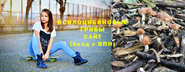 таблы Алексин